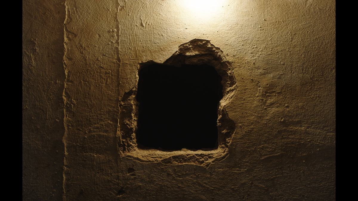 Ashkal: The Tunisian Investigation