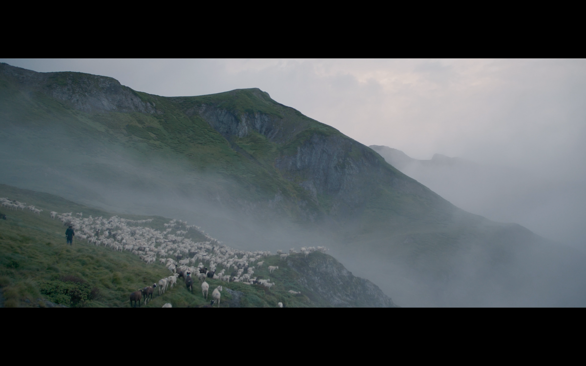 The Shepherd and the Bear