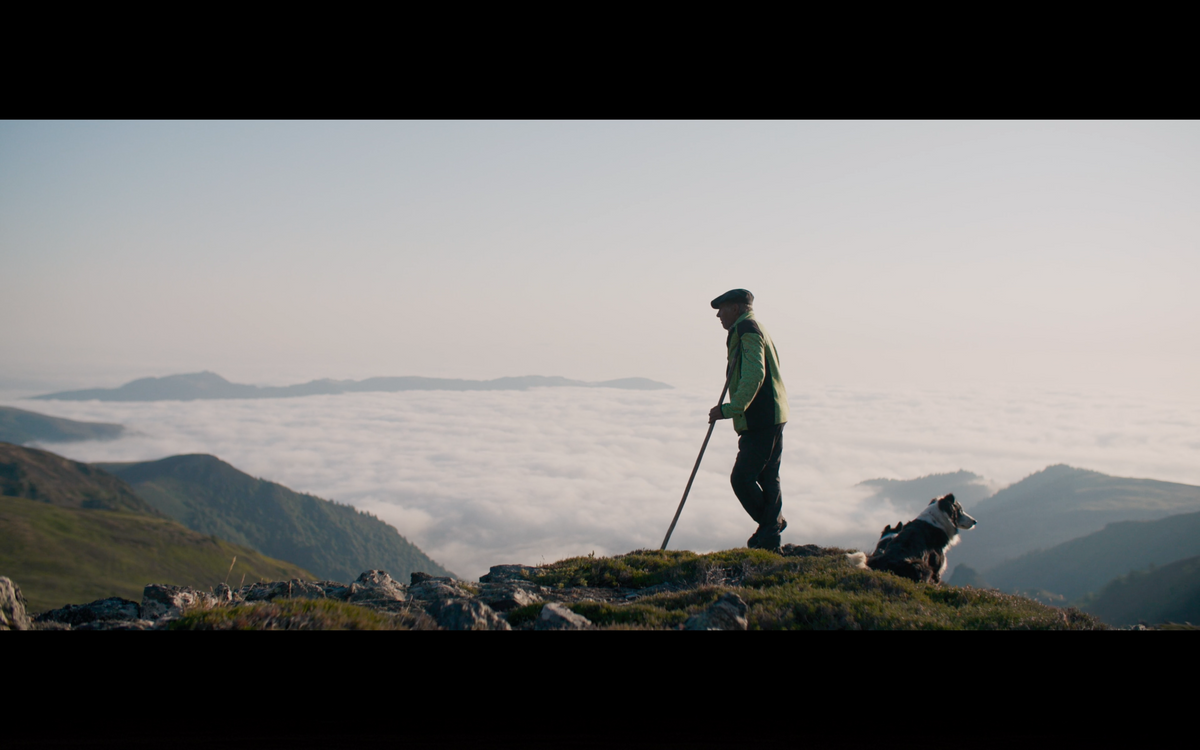 The Shepherd and the Bear