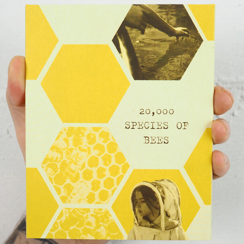 20,000 Species of Bees