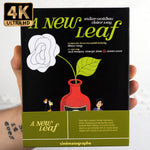 A New Leaf