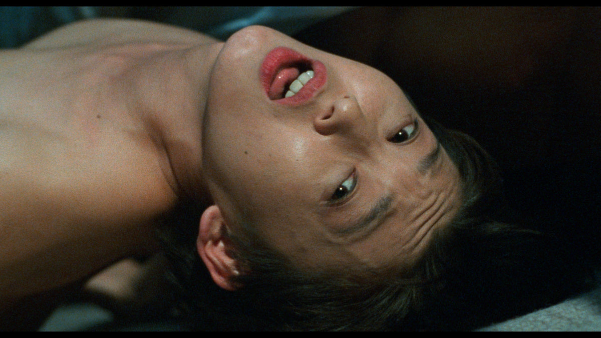 The Films of Hisayasu Satô: Volume #2 - An Aria on Gazes / Love - Zero = Infinity