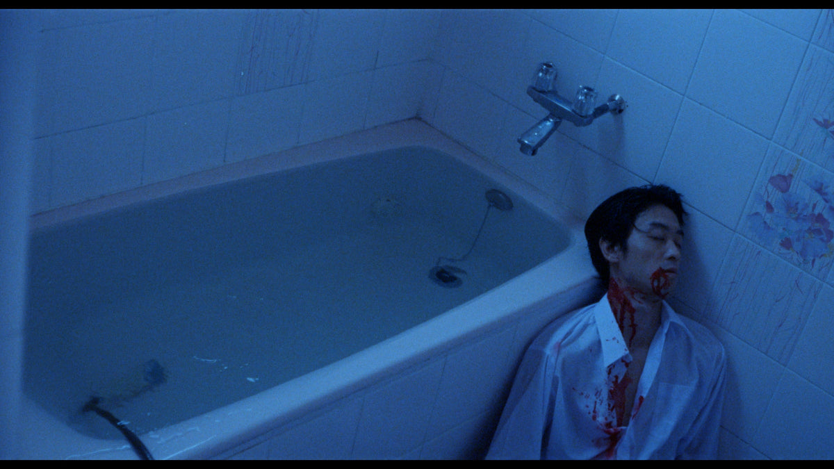 The Films of Hisayasu Satô: Volume #2 - An Aria on Gazes / Love - Zero = Infinity
