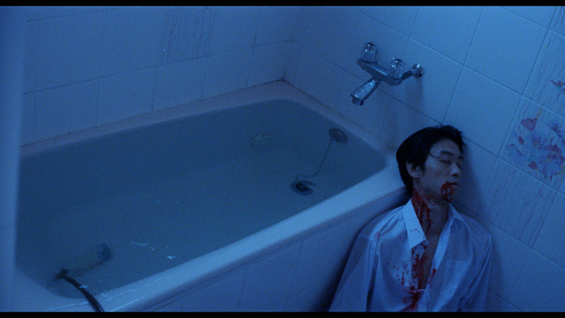 The Films of Hisayasu Satô: Volume #2 - An Aria on Gazes / Love