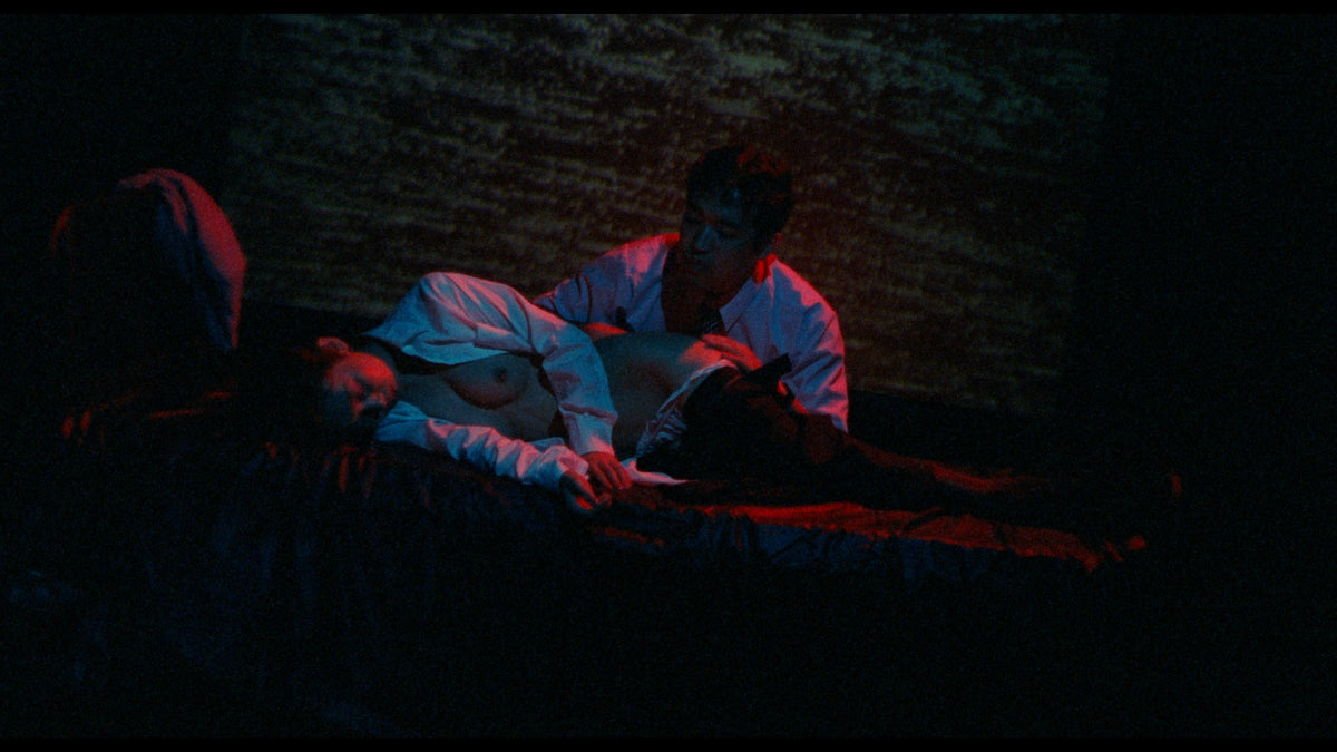 The Films of Hisayasu Satô: Volume #2 - An Aria on Gazes / Love - Zero = Infinity