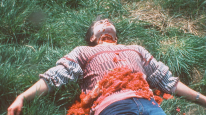 Backyard Bloodbaths