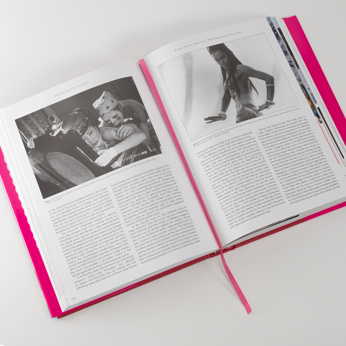 Behind the Pink Curtain - Hardcover Book