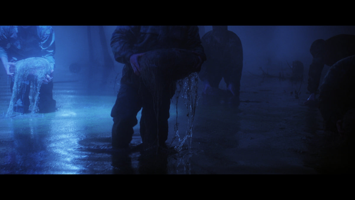 Body Snatchers