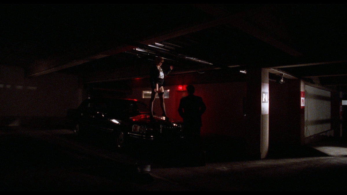 Body of Evidence