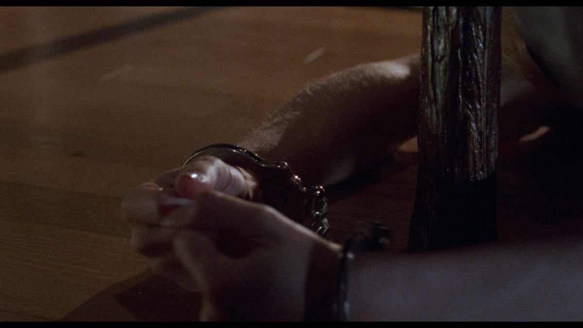 Body of Evidence