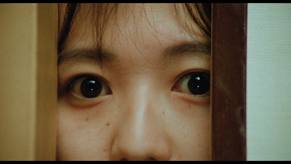 The Films of Hisayasu Satô: Volume #5 - Brain Sex / Fuga Music for Alpha and Beta / Birthday