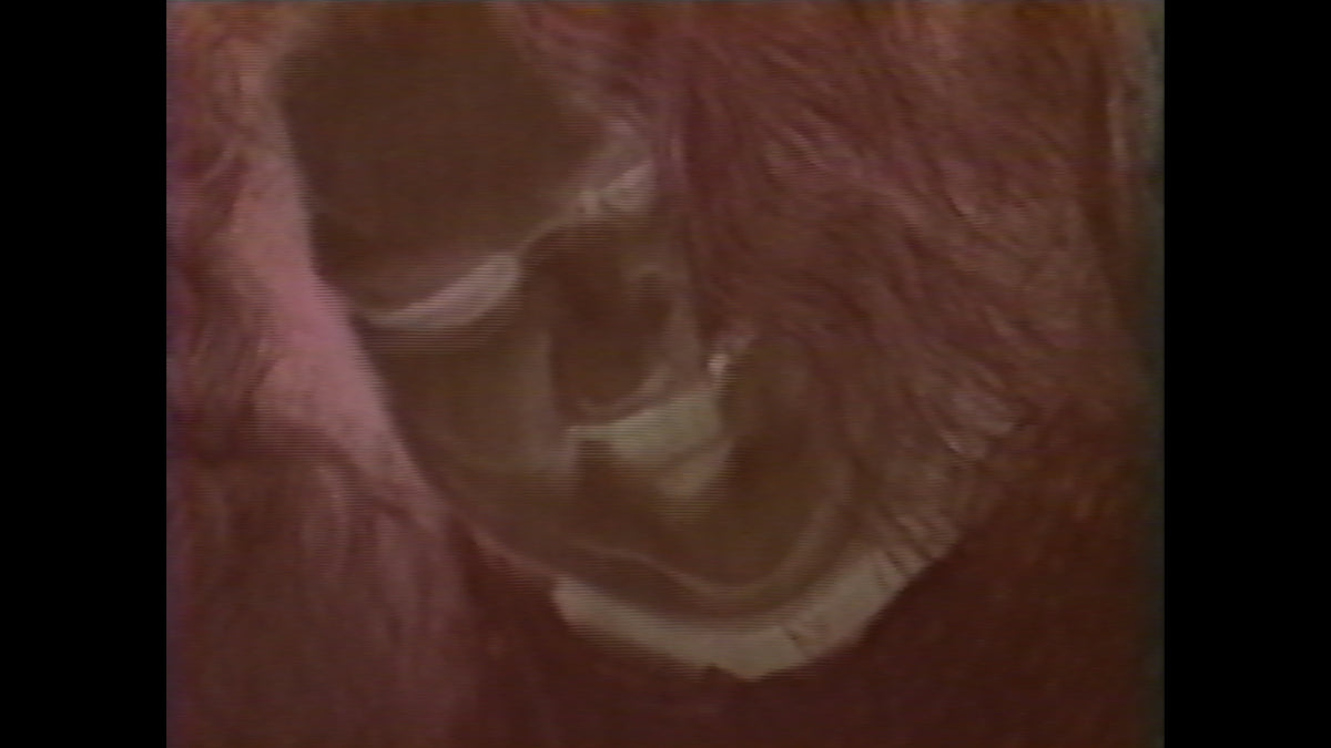 Criminally Insane 2