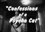 Confessions of a Psycho Cat + The Fat Black Pussycat