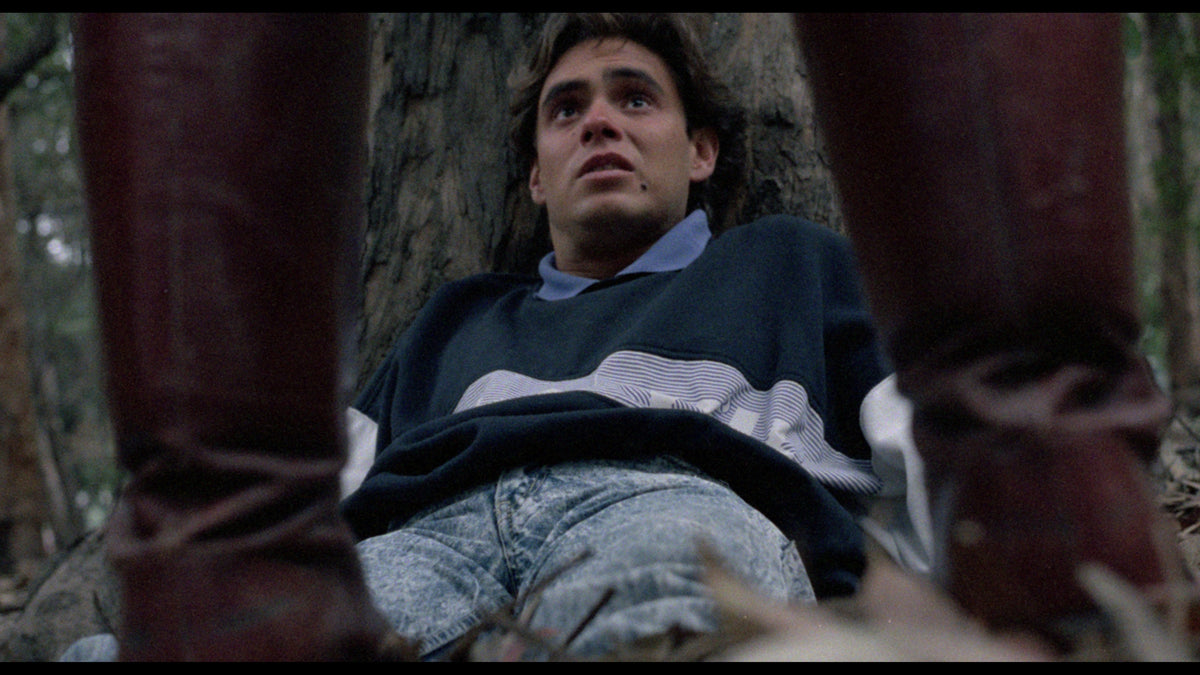 The Films of Enrique Gómez Vadillo