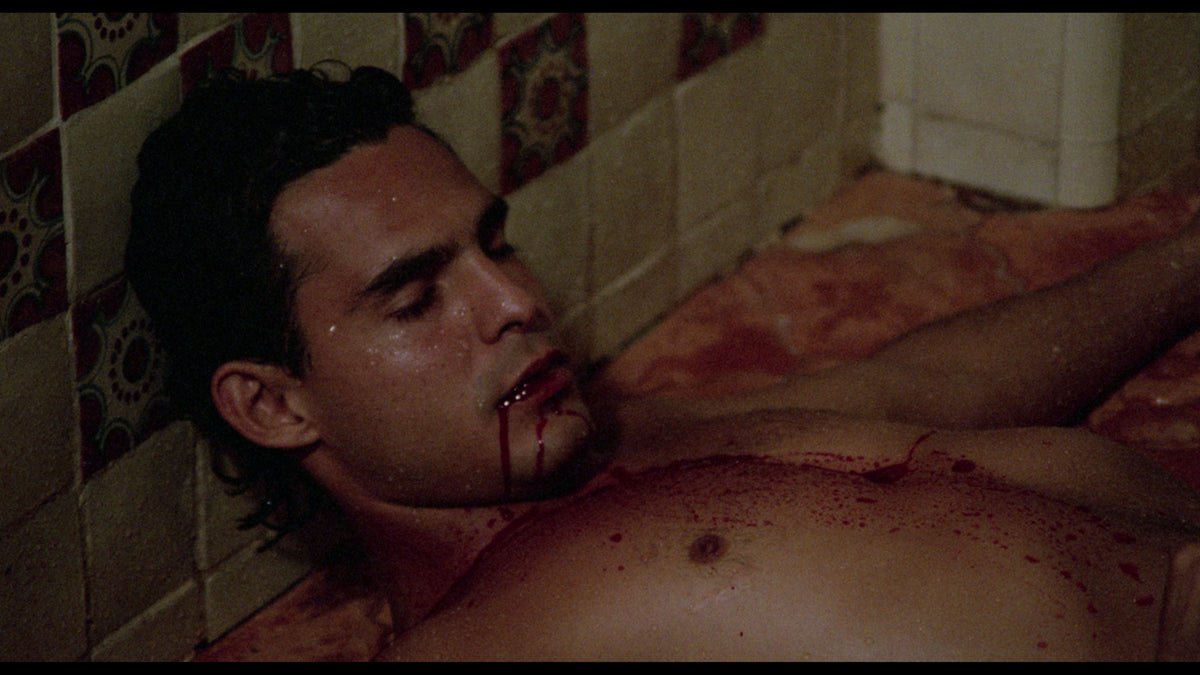 The Films of Enrique Gómez Vadillo