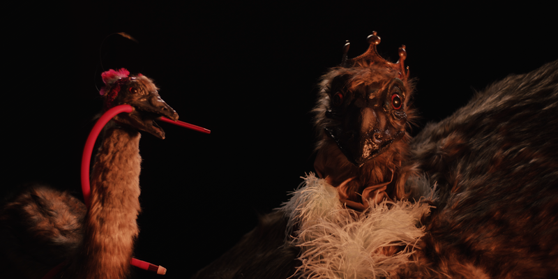 The Emu War
