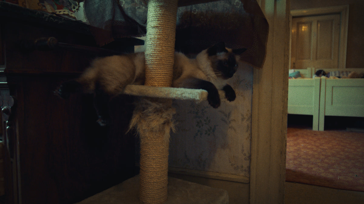 Time of Moulting