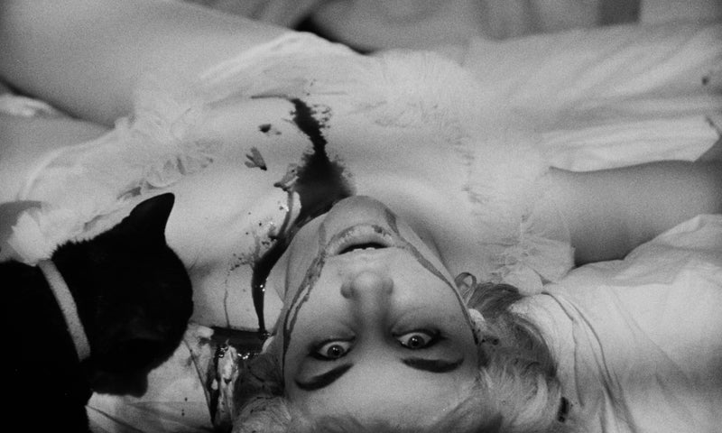 Confessions of a Psycho Cat + The Fat Black Pussycat