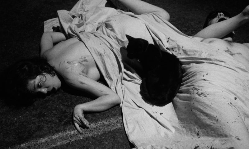Confessions of a Psycho Cat + The Fat Black Pussycat