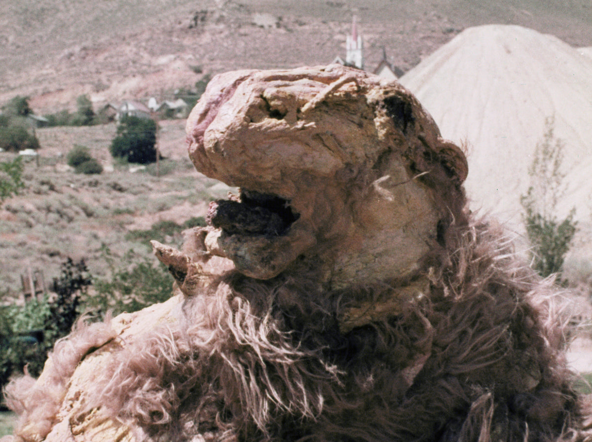 The Godmonster of Indian Flats