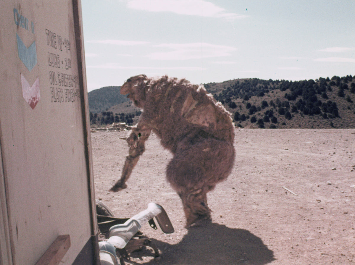 The Godmonster of Indian Flats