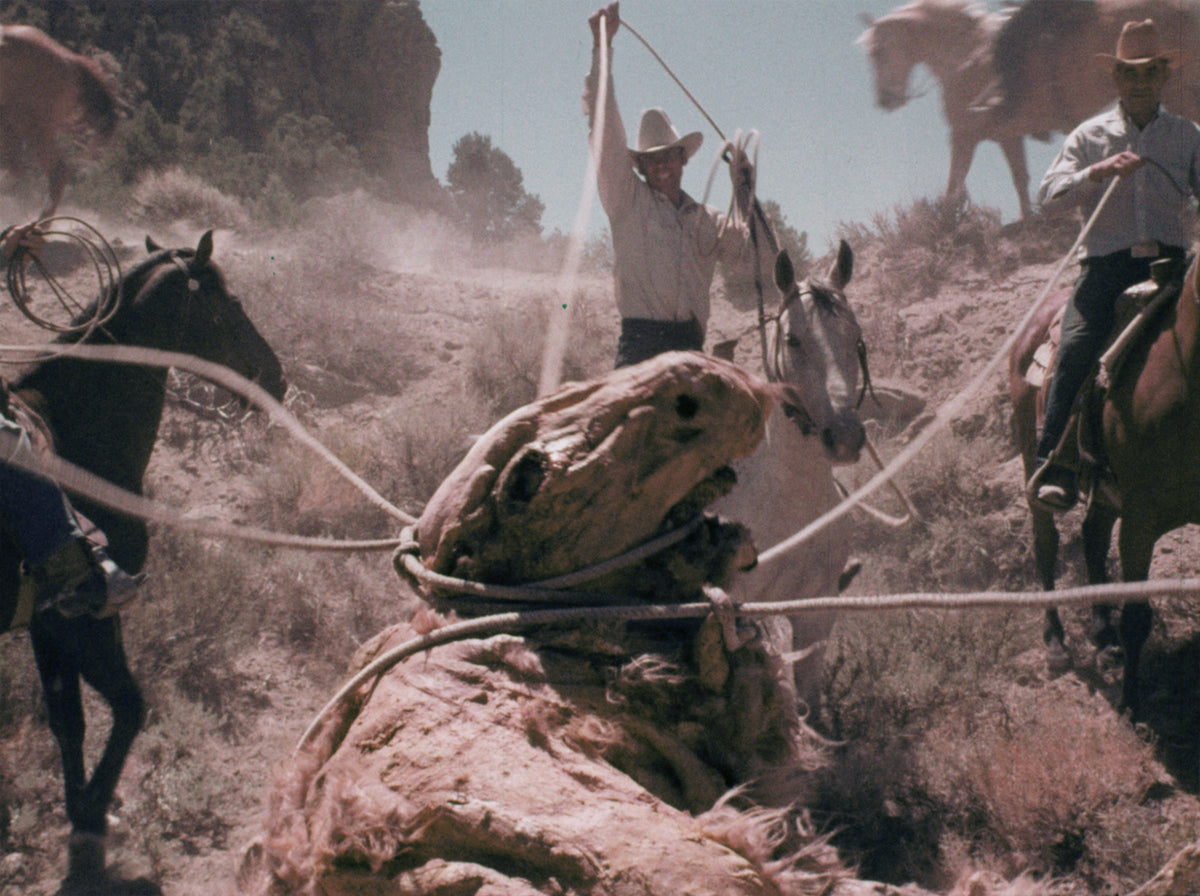 The Godmonster of Indian Flats
