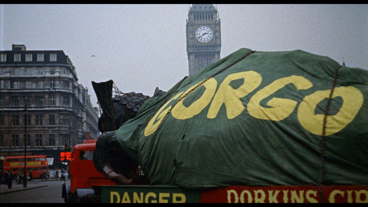 Gorgo