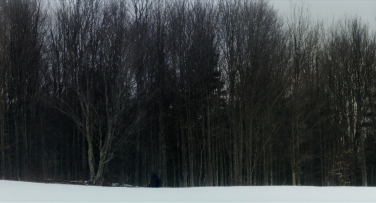 The Harbinger
