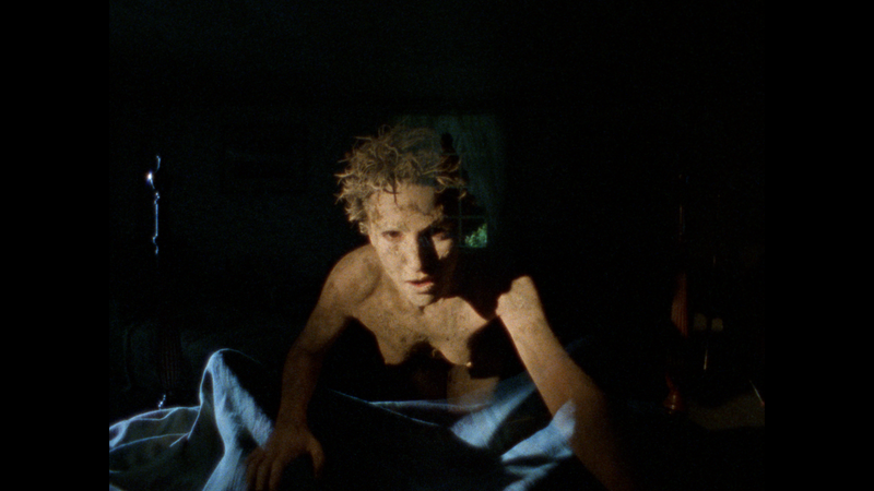 The Films of Larry Fessenden: Volume 1 - Habit & No Telling