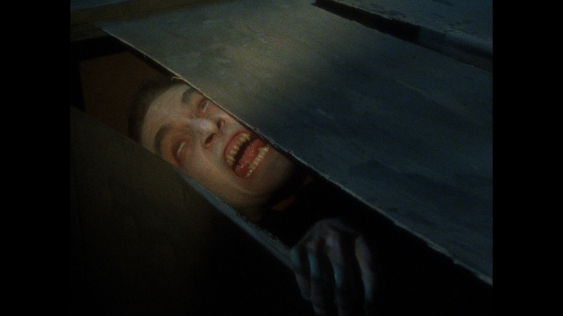 The Films of Larry Fessenden: Volume 1 - Habit & No Telling