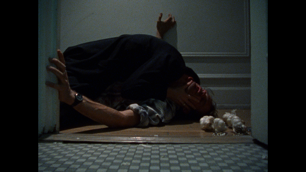 The Films of Larry Fessenden: Volume 1 - Habit & No Telling