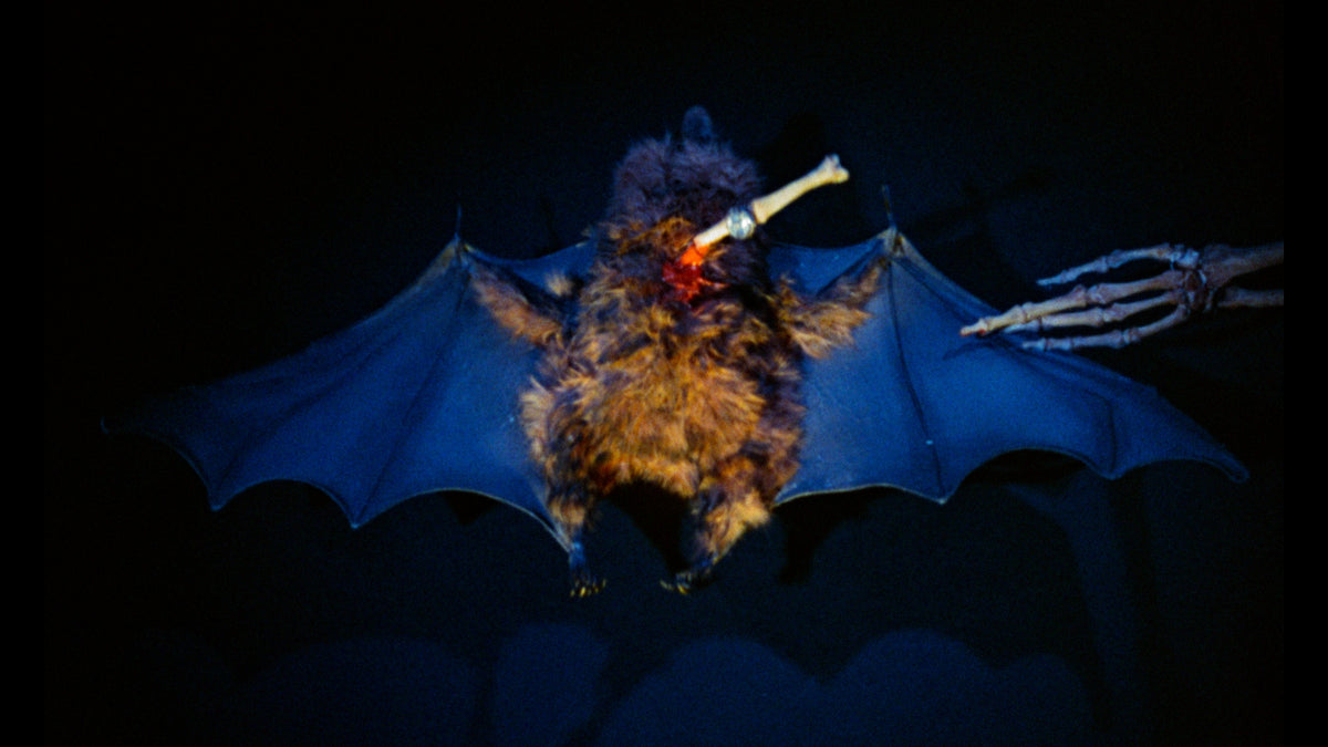 The Hand of Night