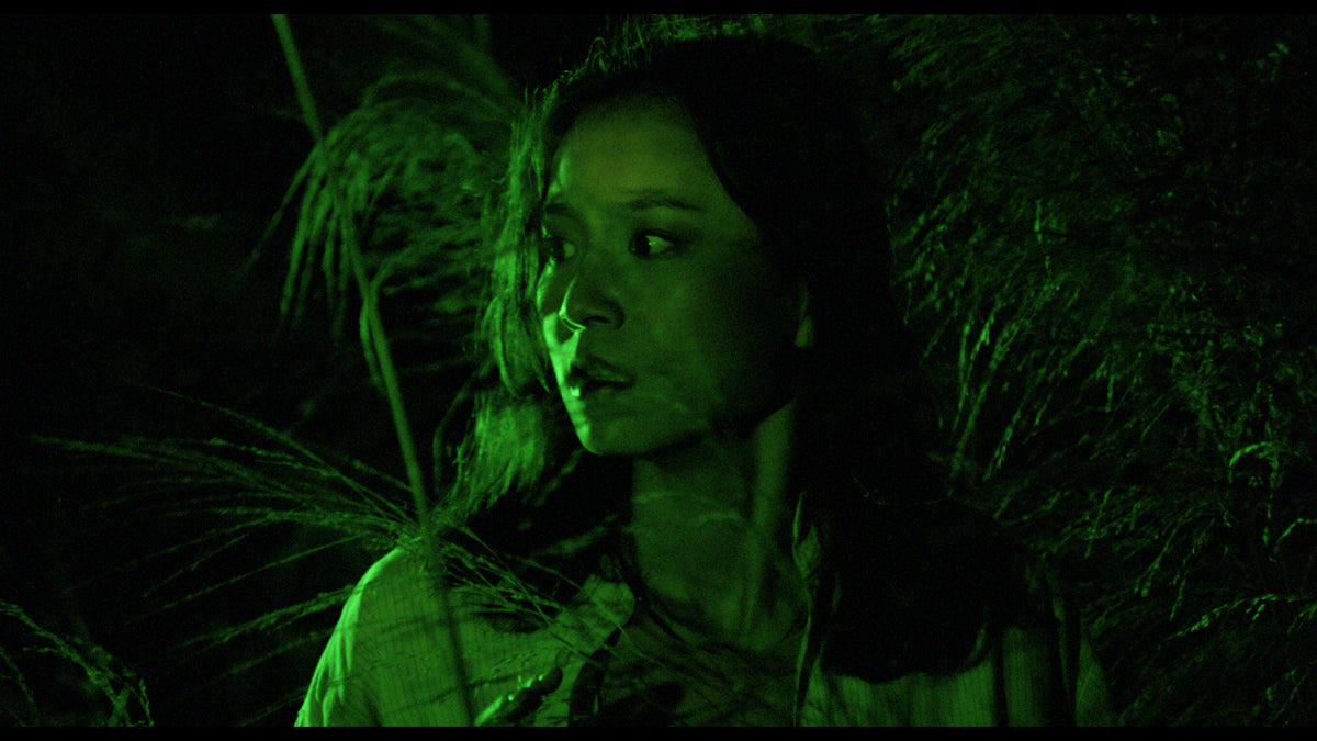 Shaw Scares: Volume 1