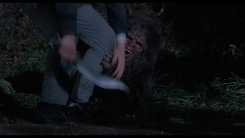 Howling II: Your Sister Is A Werewolf