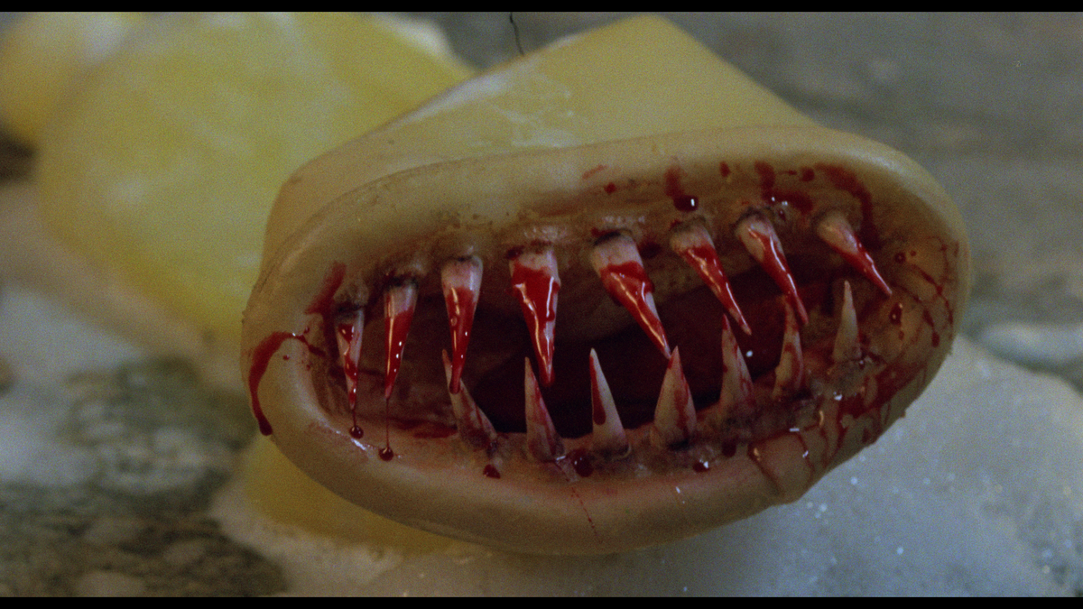Killer Condom