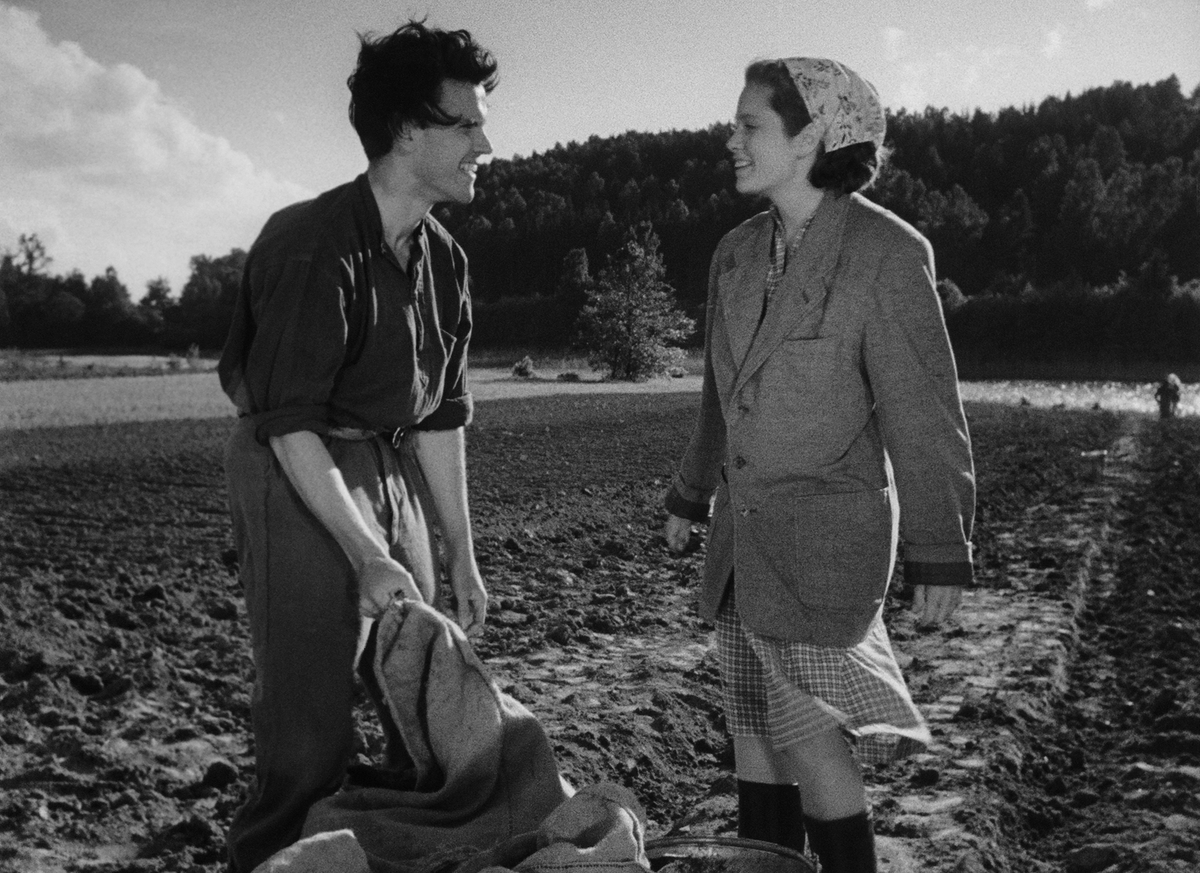 One Summer of Happiness