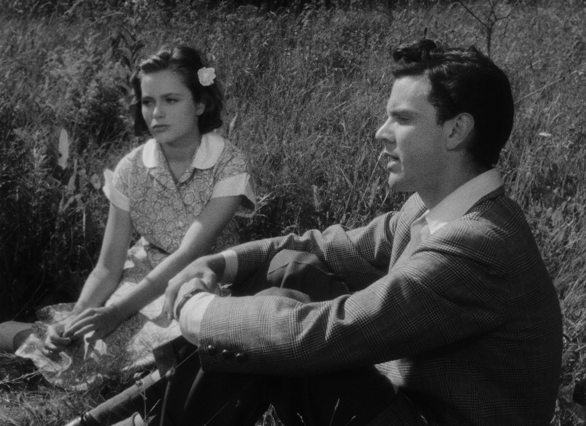 One Summer of Happiness
