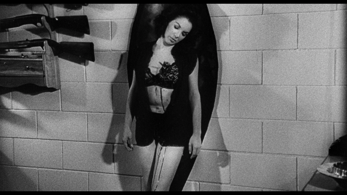 Vinegar Syndrome's Lost Picture Show