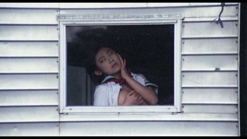 The Films of Hisayasu Satô: Volume #2 - An Aria on Gazes / Love