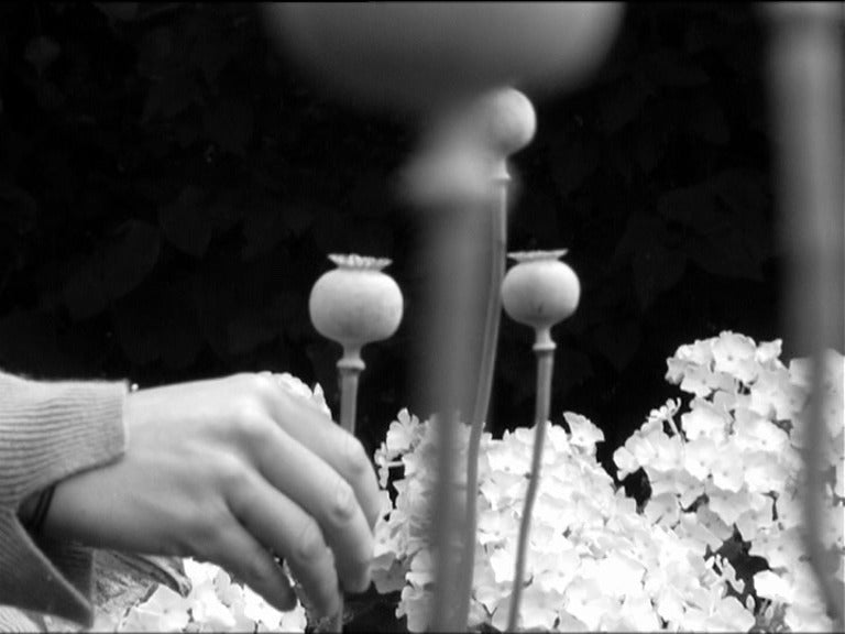 Erotic Nature: The Films of Pierre Creton
