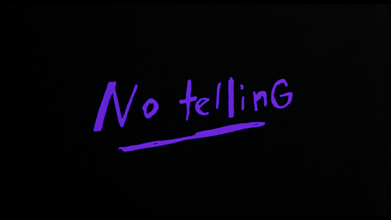 The Films of Larry Fessenden: Volume 1 - Habit & No Telling