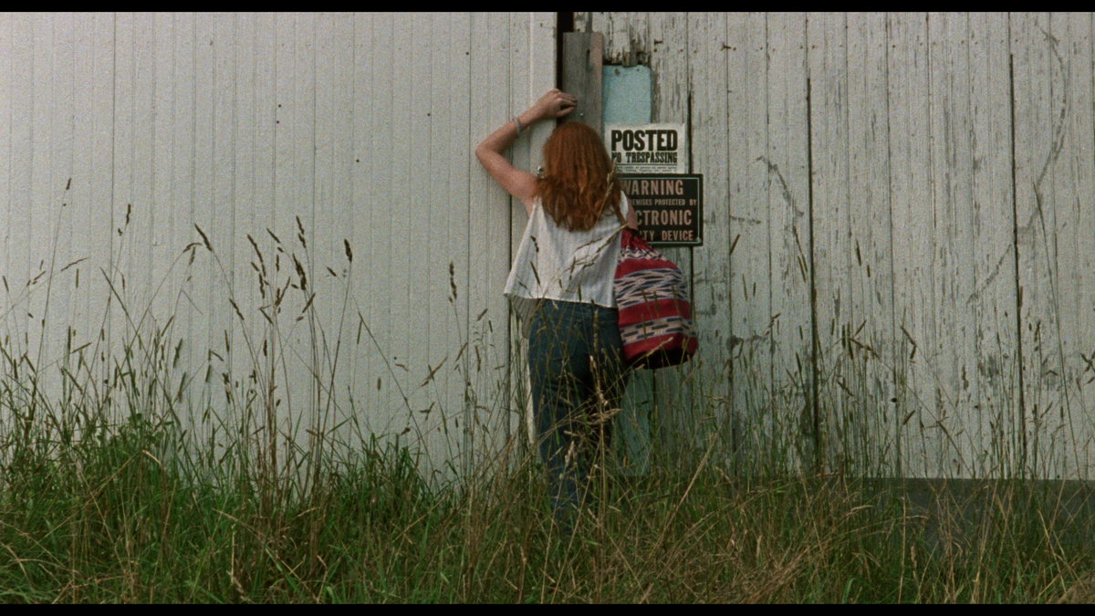 The Films of Larry Fessenden: Volume 1 - Habit & No Telling