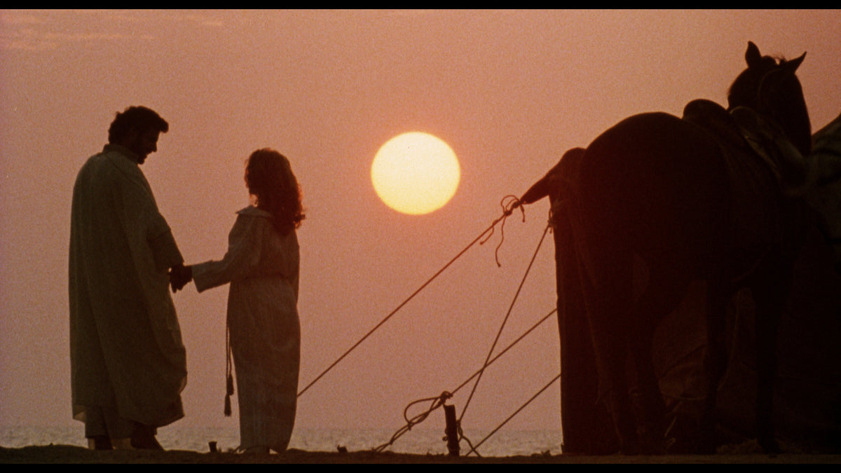 Tobe Hooper's Night Terrors (Alternate Case)