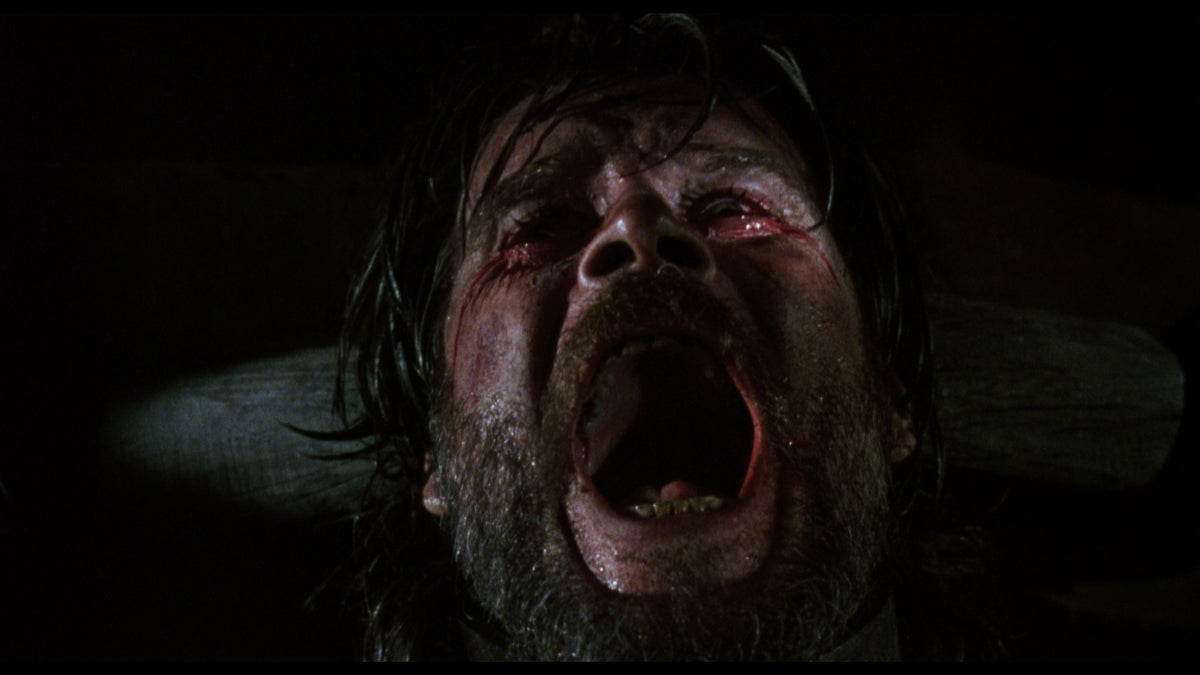 Tobe Hooper's Night Terrors
