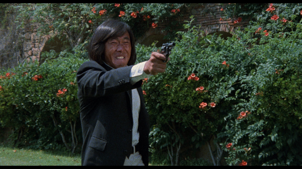 Ninja in the Claws of the CIA