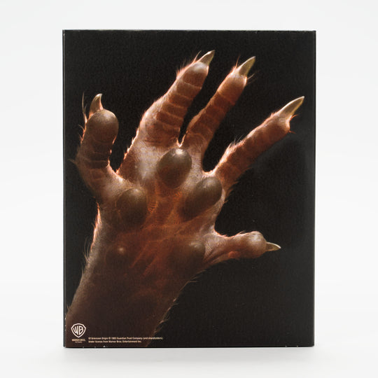 Frontpage – Vinegar Syndrome