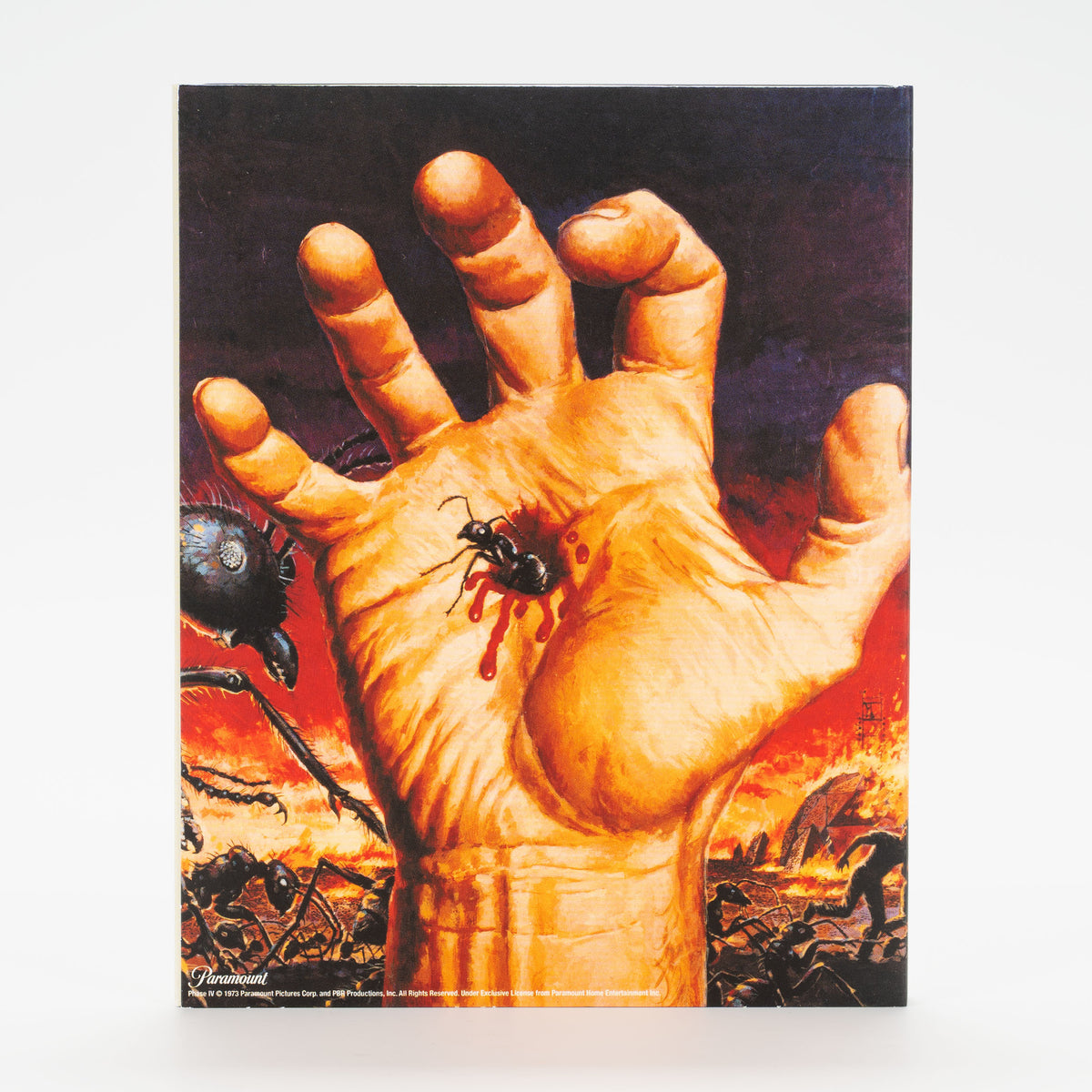 Phase IV