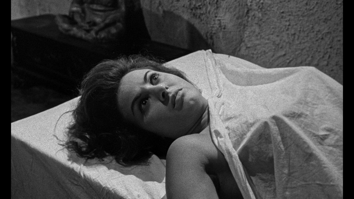 The Playgirls and the Vampire
