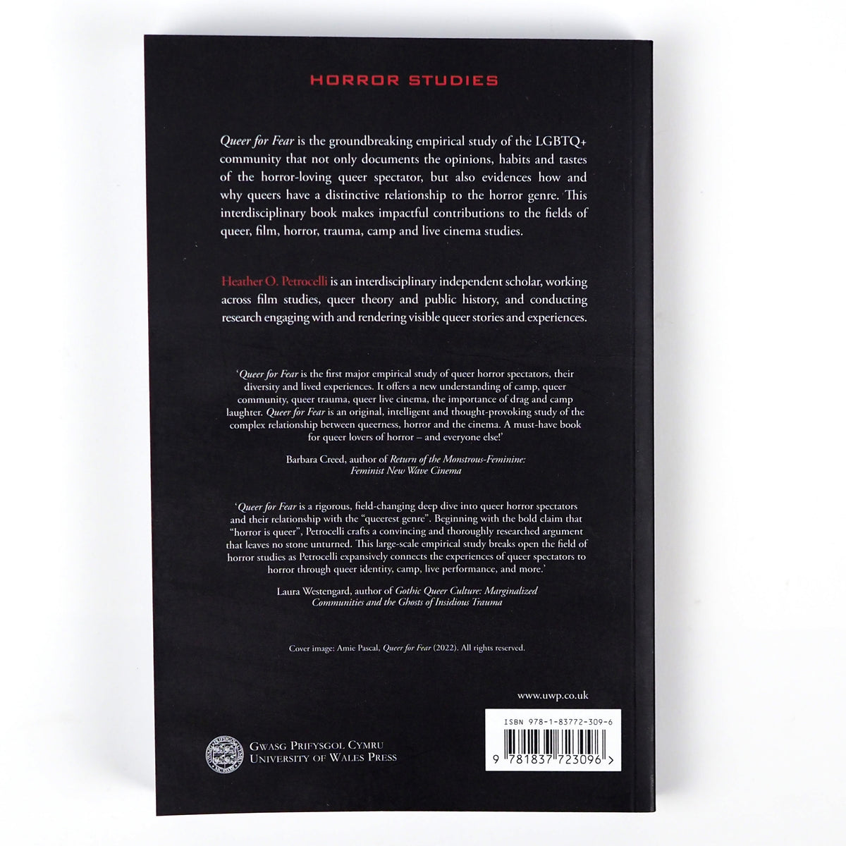 Queer for Fear: Horror Film and the Queer Spectator - Paperback Book