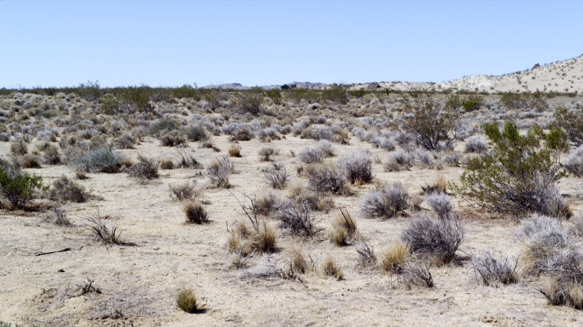 Redlands